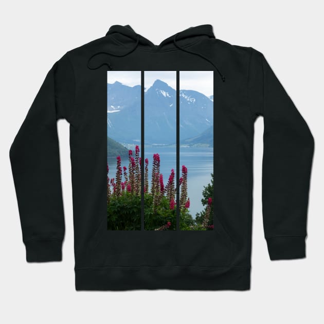 Wonderful landscapes in Norway. Vestland. Beautiful scenery of Romsdal Fjord from the Torvikeidet village. Nice flower composition in foreground. Snowed mountains Summer cloudy day (vertical) Hoodie by fabbroni-art